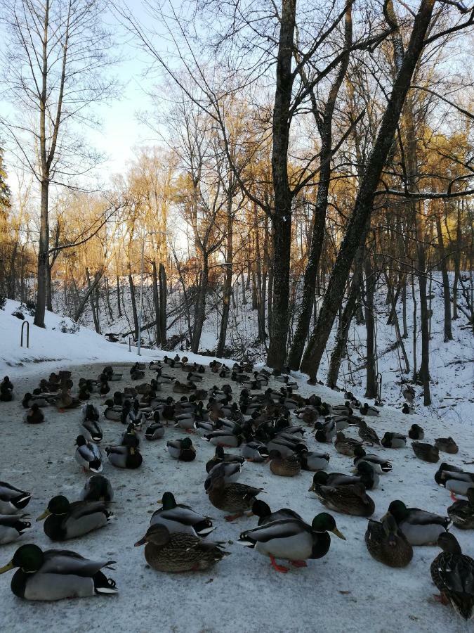 Отель Atostogu Namai Друскининкай Экстерьер фото